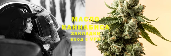 стаф Елабуга