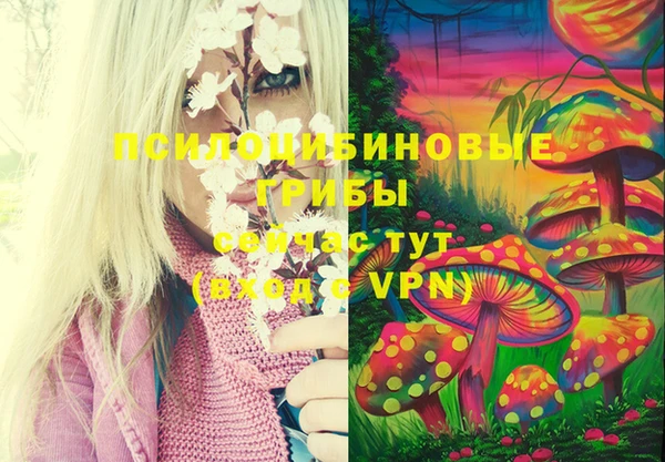 героин Михайловка