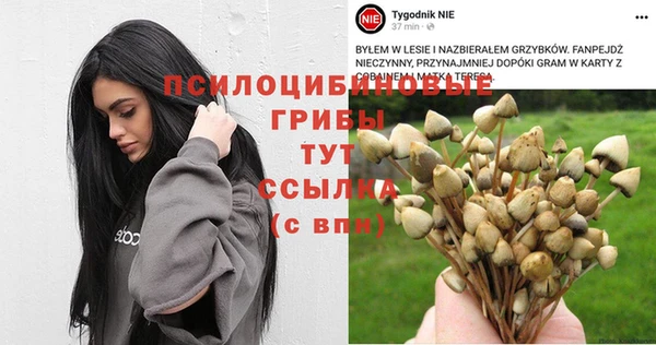 a pvp Елизово