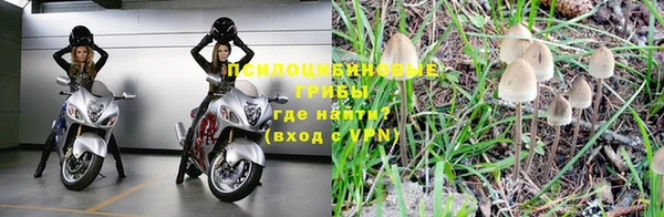 стаф Елабуга